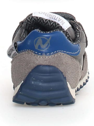 Naturino Leren sneakers "Sammy 2" blauw/grijs