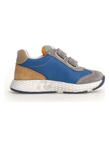 Naturino Leder-Sneakers "Jesko 2" in Grau/ Blau
