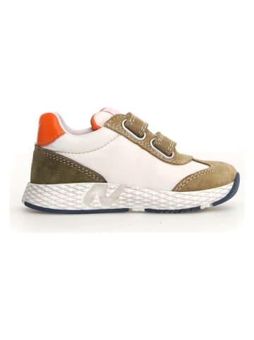 Naturino Leren sneakers "Jesko 2" wit/donkerblauw