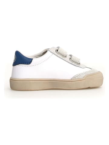 Naturino Leren sneakers "Kevis" roze