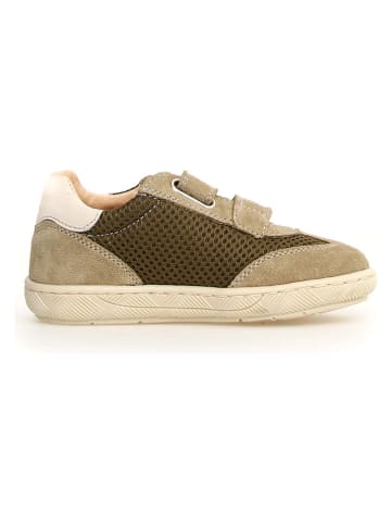 Naturino Leder-Sneakers "Kevis" in Beige