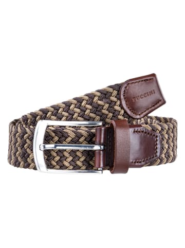 Puccini Gürtel in Braun