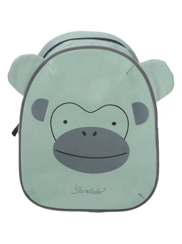 Sterntaler® Kinderrucksack "Albert" in Grün - (B)22 x (H)28,5 x (T)10 cm