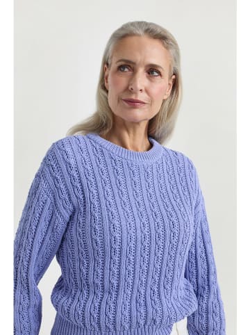 Josephine & Co Sweter "Jim" w kolorze fioletowym