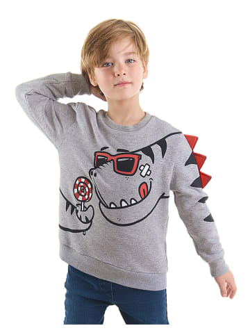 Denokids Sweatshirt in Grau