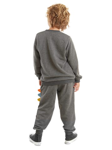 Denokids 2-delige outfit "Rawr" grijs
