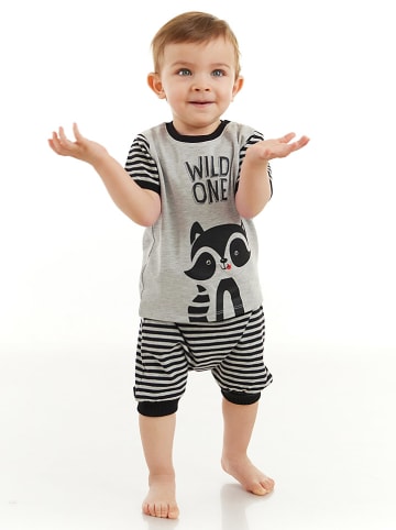 Denokids 2tlg. Outfit "Racoon" in Grau