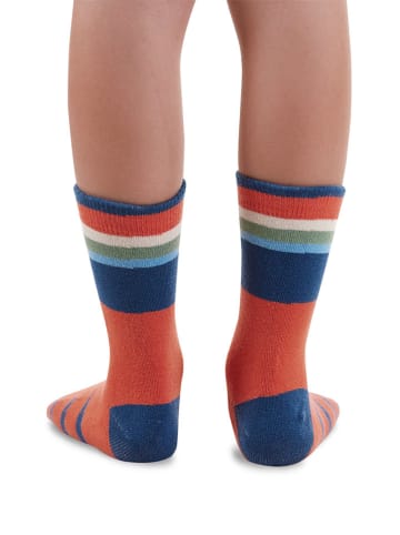 Denokids 2er-Set: Socken "Animals" in Bunt