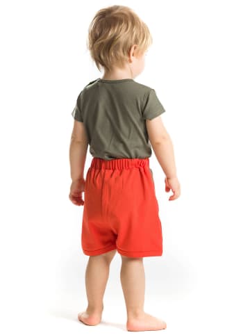 Denokids 2tlg. Outfit in Khaki/ Rot