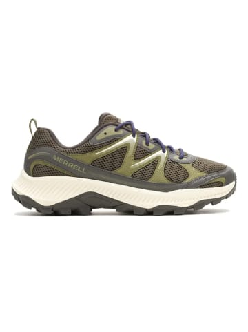 Merrell Trekkingschuhe "Tempo EXP" in Oliv