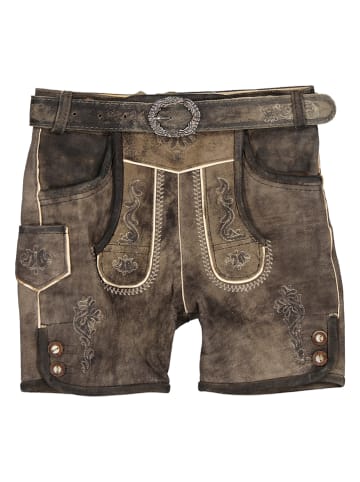 Isartrachten Lederhose in Braun