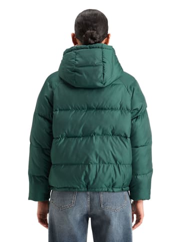 Scotch & Soda Tusssenjas groen