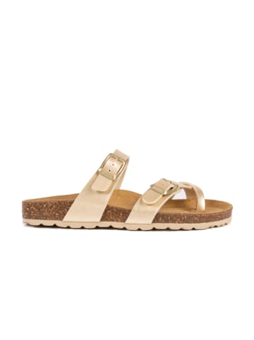 BABUNKERS Family Teenslippers goudkleurig