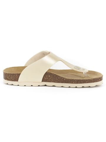 BABUNKERS Family Teenslippers goudkleurig