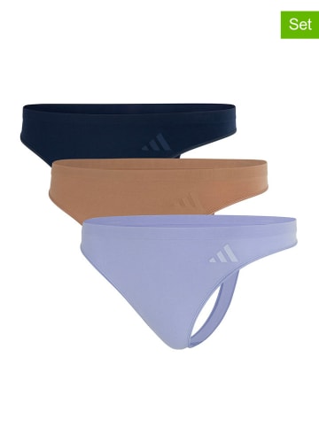 adidas 3er-Set: Strings in Hellblau/ Hellbraun/ Schwarz