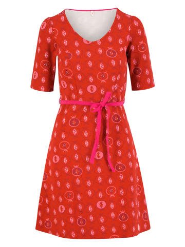 Blutsgeschwister Kleid "Home Cute little fruity girl" in Rot/ Rosa