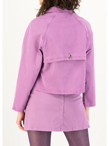 Blutsgeschwister Tusssenjas paars