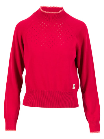 Blutsgeschwister Trui rood