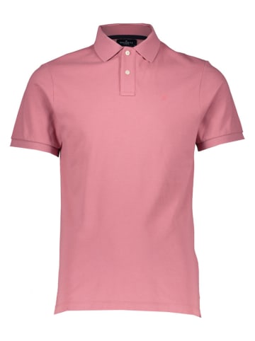 Hackett London Poloshirt in Beere