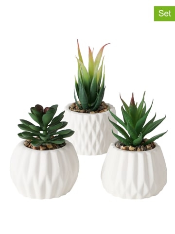 Boltze 3er-Set: Kunstpflanzen in Grün - (H)15 cm