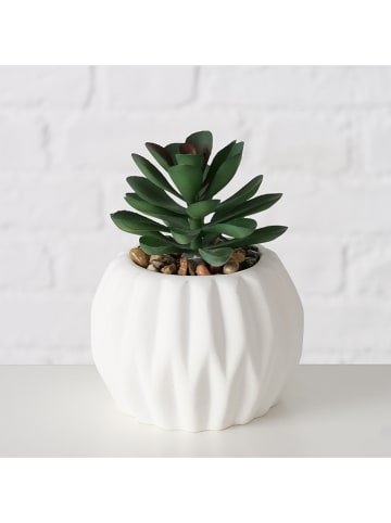 Boltze 3er-Set: Kunstpflanzen in Grün - (H)15 cm