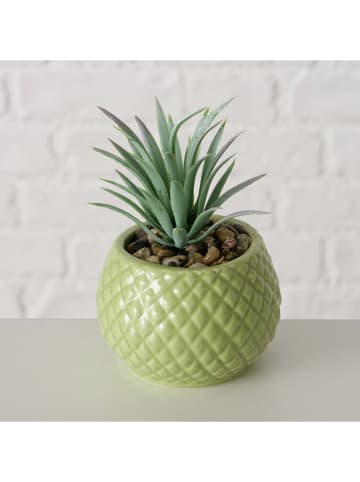 Boltze Sztuczne rośliny doniczkowe (3 szt.) w kolorze zielonym - wys. 10,5 x Ø 7,5 cm