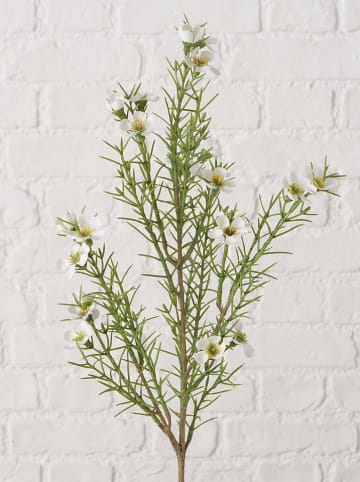 Boltze Sztuczny kwiat "Chamomile" w kolorze zielono-białym - wys. 9 cm