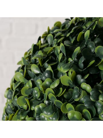 Boltze Kunstpflanze "Buchsbaum" in Grün - (H)25 cm