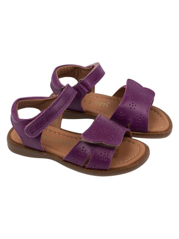 POM POM Leren sandalen paars