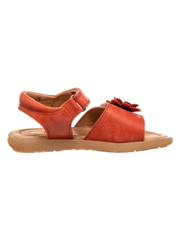 POM POM Leder-Sandalen in Rotbraun
