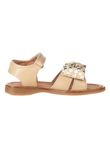 POM POM Leder-Sandalen in Beige/ Gold