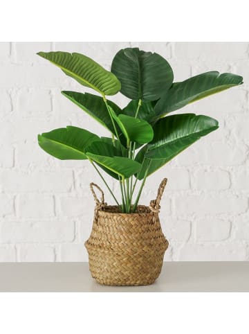 Boltze Kunstpflanze "Strelitzia Nicolai" in Grün/ Hellbraun - (H)45 cm