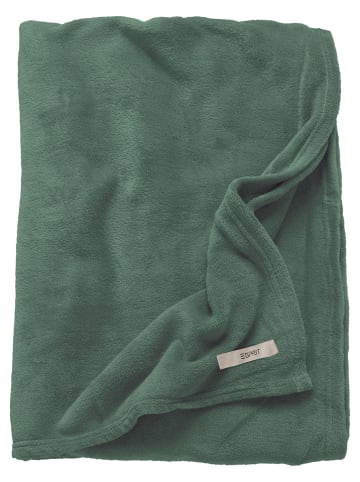 ESPRIT Plaid "Mellows" in Grün