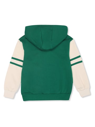 Fila Sweatjacke "Vercelli" in Grün/ Beige