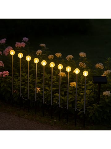lumisky Ledsolarplantenverlichting ''Lolly'' lichtbruin - (L)40 x (B)500 cm