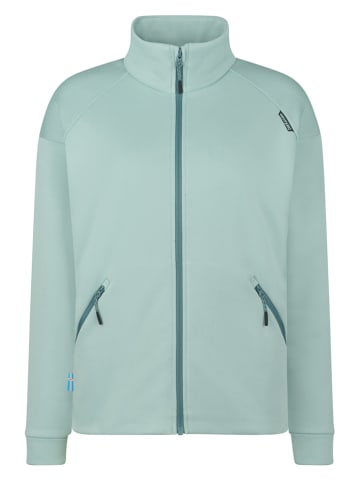 Westfjord Fleecejacke in Grün