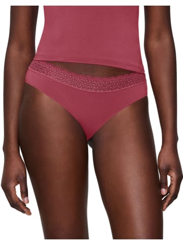 Triumph Slip bordeaux
