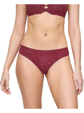 Triumph Figi w kolorze bordowym