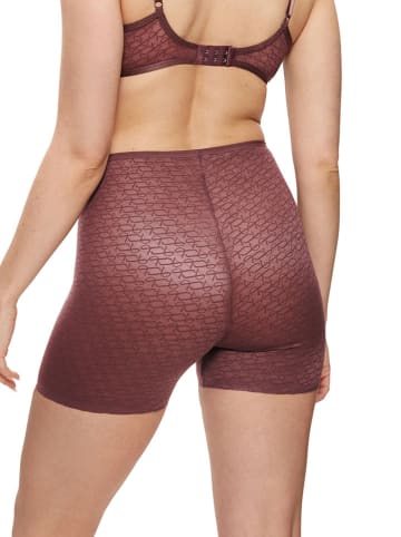 Triumph Spodenki modelujące w kolorze bordowym