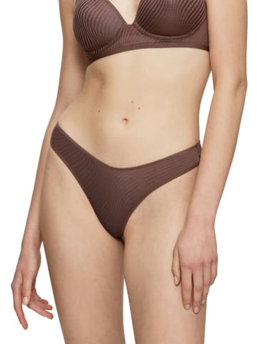 Triumph String bruin