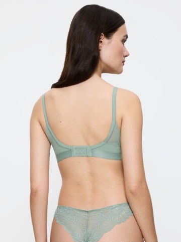 Triumph Bügelloser BH in Grün