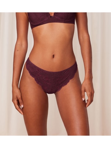 Triumph Figi w kolorze fioletowym