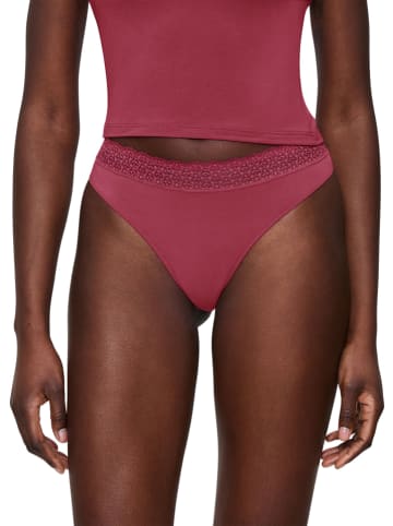 Triumph String beskleurig