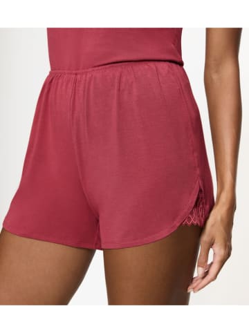 Triumph Pyjamashorts rood