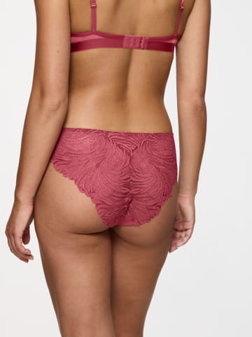 Triumph Slip beskleurig