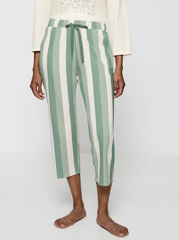 Triumph Pyjamabroek groen