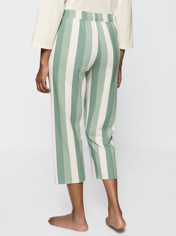 Triumph Pyjamabroek groen