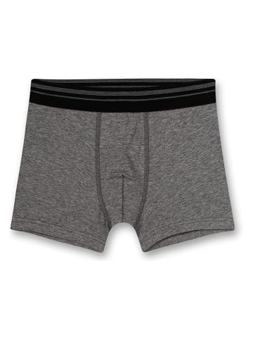 Sanetta Boxershorts in Grau
