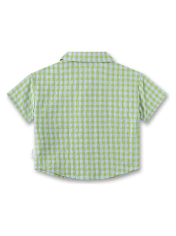 Sanetta Kidswear Hemd in Grün/ Hellblau