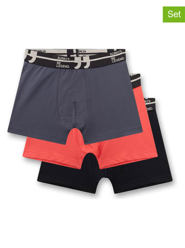 Sanetta 3er-Set: Boxershorts in Orange/ Schwarz/ Anthrazit